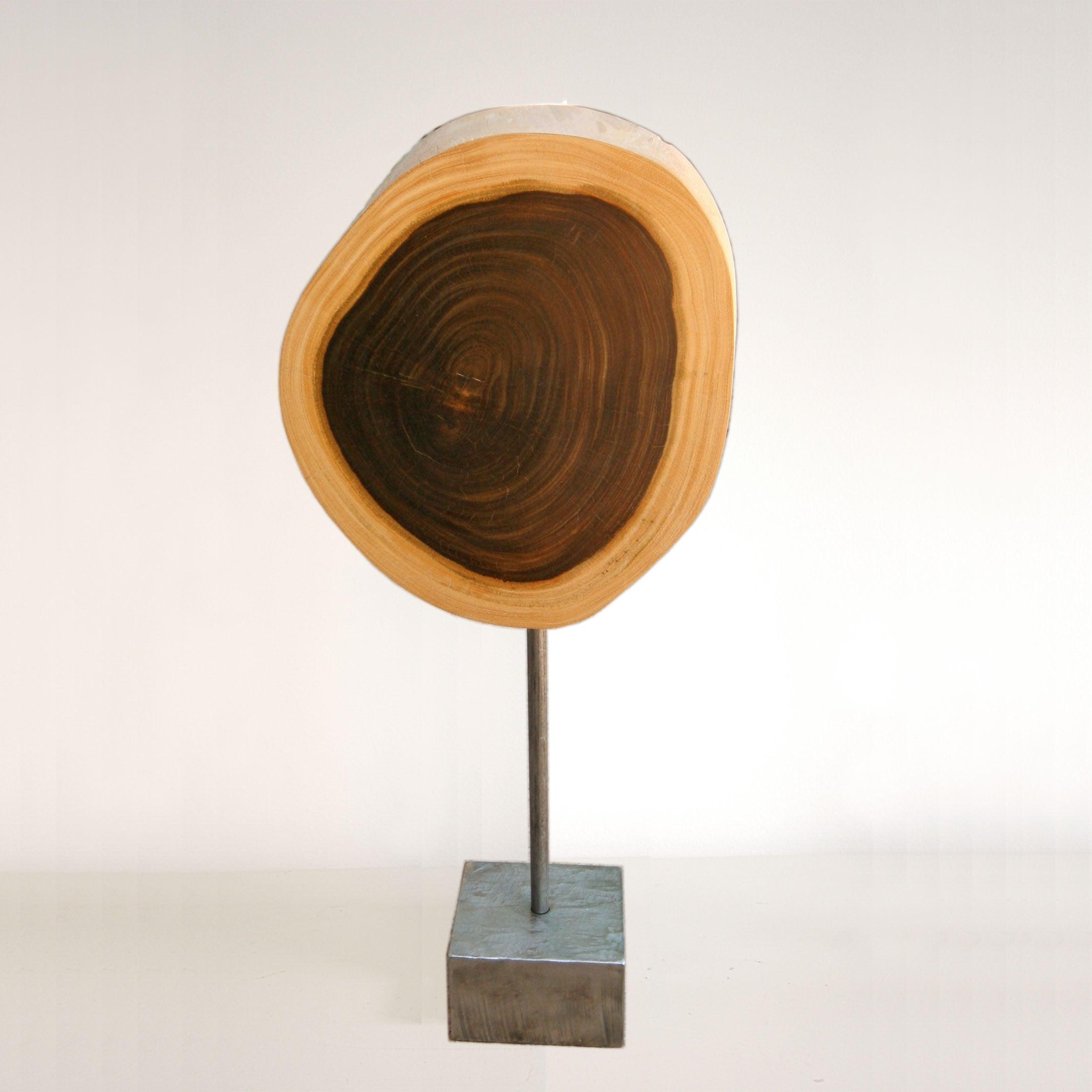 Cocuswood and Stainless Steel Tabletop Sculpture