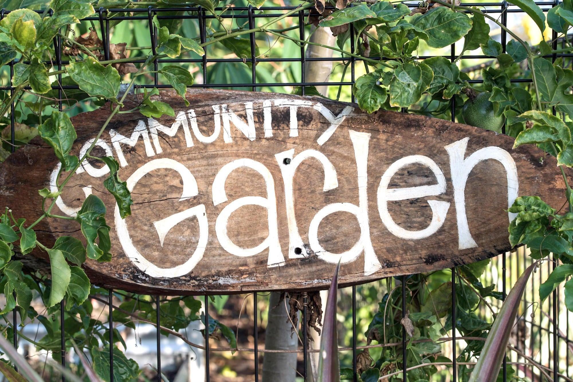 Clarksville Community Garden