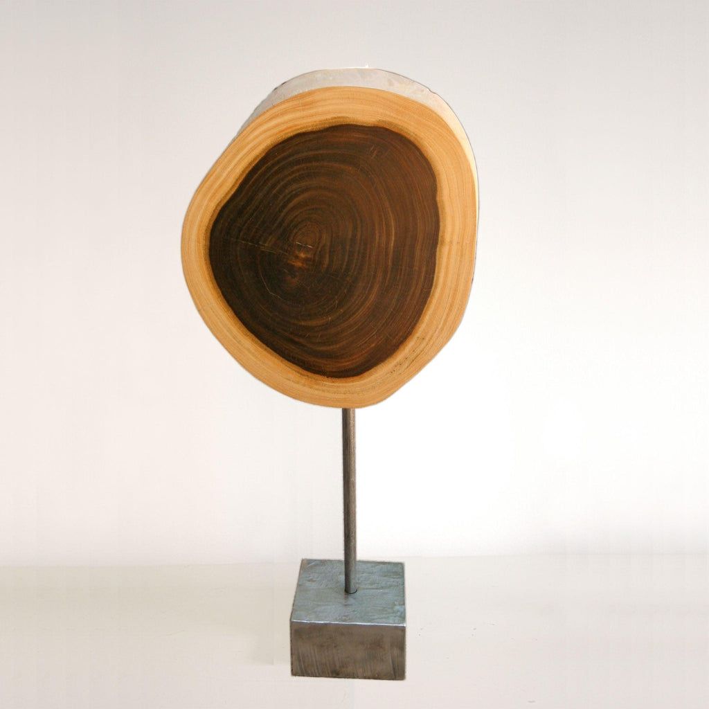 Cocuswood and Stainless Steel Tabletop Sculpture